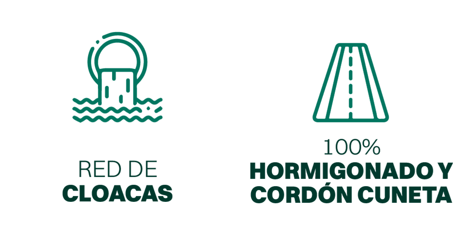 cloacas-y-homigon